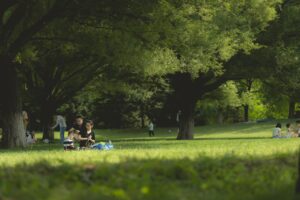 介護転職で家族の反対にどう対処すれば良い？