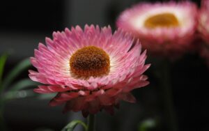介護の転職で不採用が続く理由とその対策は？