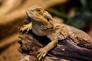 介護資格には年齢制限があるのか、詳しく解説しますか？