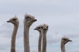介護職でボーナスがない場合の転職先はどこがいい？