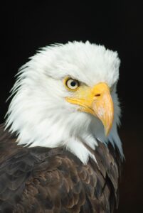 職務経歴書を介護から転職する際のポイントは？