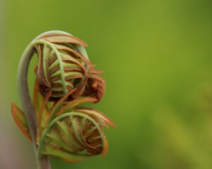 福利厚生が充実した介護求人の探し方は？