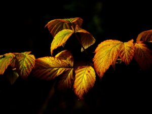 介護の夜勤明けに寝れないときの悩み解消法は？