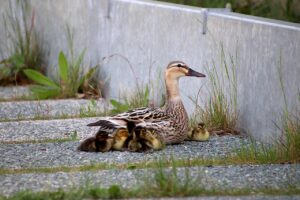介護職の将来性に不安を感じる方が転職する際のポイントは？