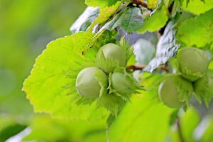 介護職が向いてない人におすすめの他の仕事は？