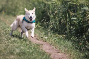 介護転職を成功させる福岡のエージェントはどこ？