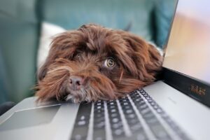 介護の転職で週3勤務の求人はエージェントを使うべき？